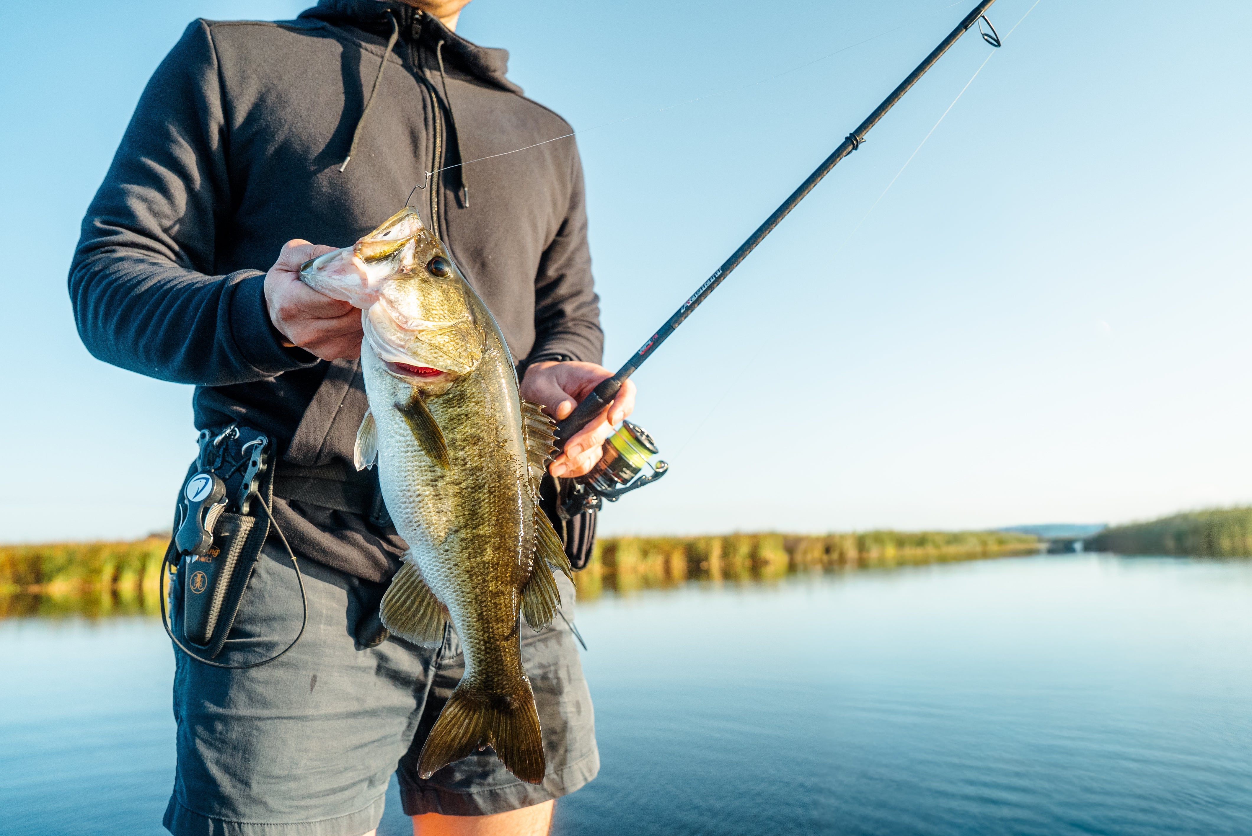 Large Mouth Bass – Tackle World