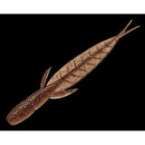 Evergreen C-4 Leech Soft Plastic Lures-Lures-Daiwa-Goby-3.1" - 8pk-Tackle World