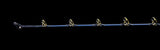 Daiwa 2025 Tanacom Bull Deep Drop Trolling Rods-Rod-Daiwa-Tackle World