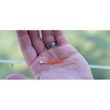 Daiwa Beam Worm VC Custom Softbaits-Lures-Daiwa-Tackle World