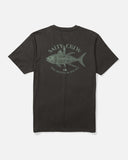 Salty Crew Omakase Crew Tees-Apparel-Salty Crew-Black-M-Tackle World