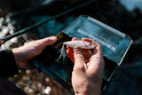 Megabass Karashi 80 Topwater Lure-Lures-Megabass-Tackle World