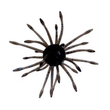 Yamamoto Uni Urchin Baits