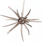Hags Baits Prickly Pear Lures