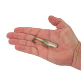 Berkley Gulp! Saltwater Ripple Mullet-Lures-Berkley-Tackle World