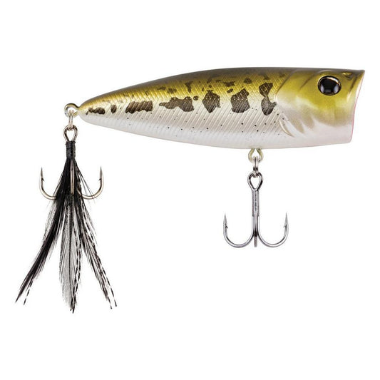 Berkley Bullet Pop Poppers-Lures-Berkley-Baby Bass-Length: 70mm - Weight: 2/5oz-Tackle World
