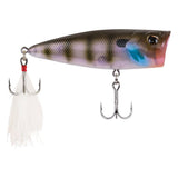 Berkley Bullet Pop Poppers-Lures-Berkley-Tackle World