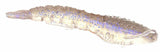 Berkley Gulp! Translucent Shrimp Soft Baits-Lures-Berkley-Tackle World