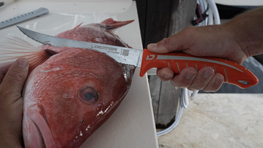Dexter Dextreme 10" Tiger Edge Scalloped Fillet Knife with Sheath-Tools-Dexter Russell-Tackle World