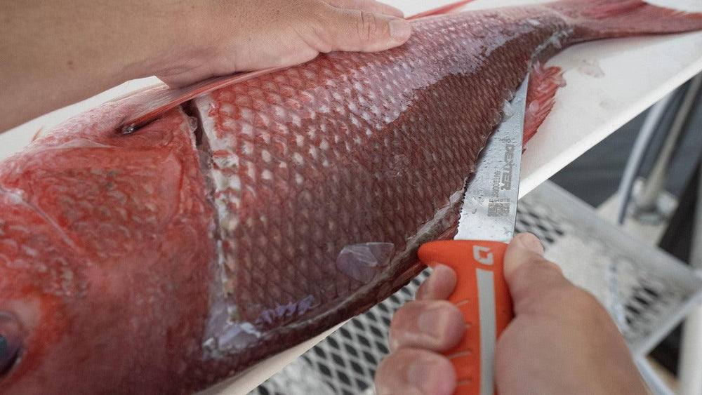 Dexter Dextreme 10" Tiger Edge Scalloped Fillet Knife with Sheath-Tools-Dexter Russell-Tackle World