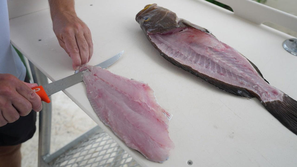 Dexter Dextreme 8" Dual Edge Stiff Fillet Knife with Sheath-Tools-Dexter Russell-Tackle World