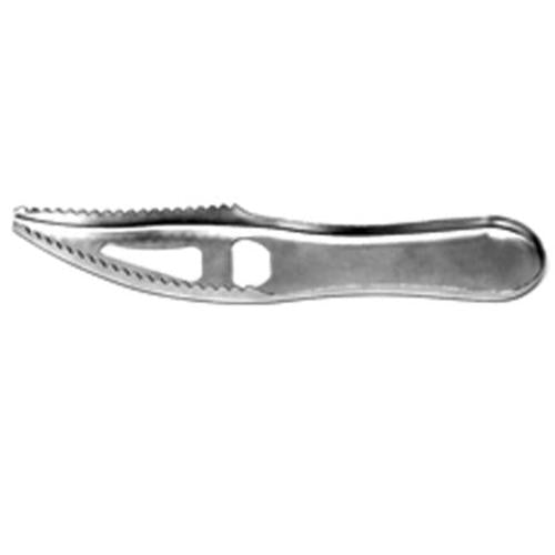 Eagle Claw Fish Scaler-Tools-Eagle Claw-7"-Tackle World