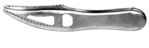 Eagle Claw Fish Scaler-Tools-Eagle Claw-7"-Tackle World