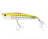 Jigging World 2024 Burst Poppers-Lures-Jigging World-Tackle World