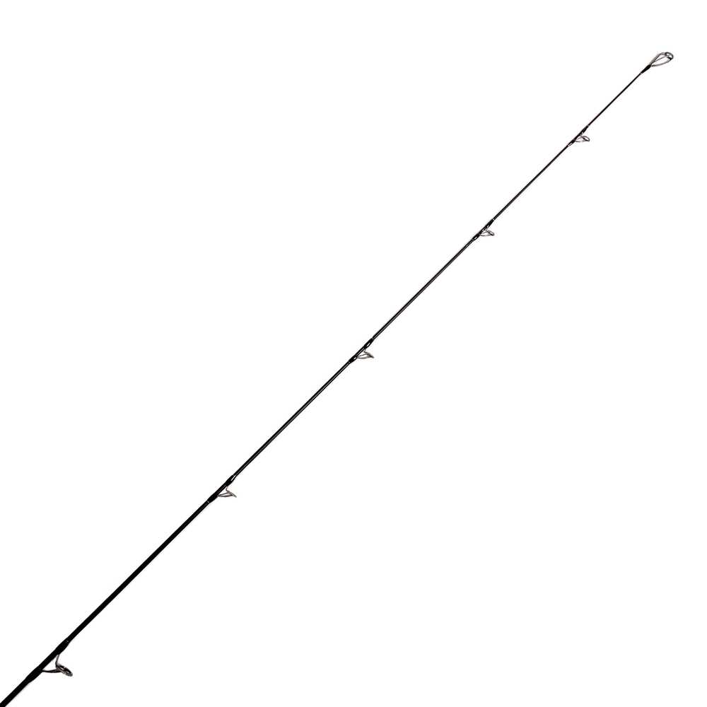 Jigging World Black Widow 2.0 Shore Spinning Rods-Rod-Jigging World-Tackle World
