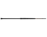 Jigging World Nexus Surf Spinning Rods-Rod-Jigging World-Tackle World