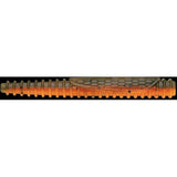 Rapala CrushCity Ned BLT Soft Plastic Bait-Lures-Rapala-Bama Craw-Tackle World