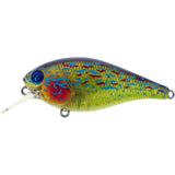 River2Sea Ish Monroe's Biggie Squarebill Crankbait Lures-Lures-River2Sea-Tackle World