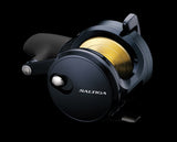 Daiwa 2025 Saltiga 300 Conventional Reels-Reel-Daiwa-Tackle World