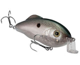 Strike King Hybrid Hunter Shallow-Lures-Strike King-Tackle World