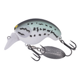 Daiwa 2026 Mr.Fortune Crankbaits-Lures-Daiwa-Bass-Tackle World