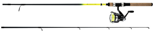 Daiwa 2025 D-Shock II FW Spinning Combos-Combo-Daiwa-DSII20BF602ML-Tackle World