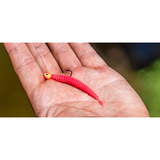 Daiwa Beam Worm VC Custom Garlic Softbaits-Lures-Daiwa-Tackle World