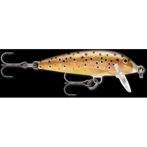 Rapala CountDown Lures-Lures-Rapala-Brown Trout-2"-Tackle World