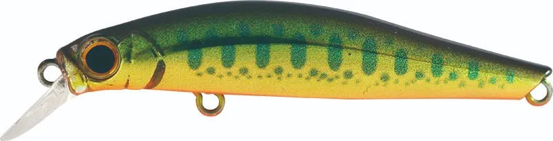Jackson Artist FR55 Lures-Lures-Jackson-Tackle World