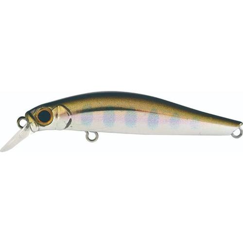 Jackson Artist FR55 Lures-Lures-Jackson-RY2-Tackle World