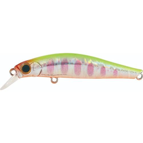 Jackson Artist FR55 Lures-Lures-Jackson-WCY-Tackle World