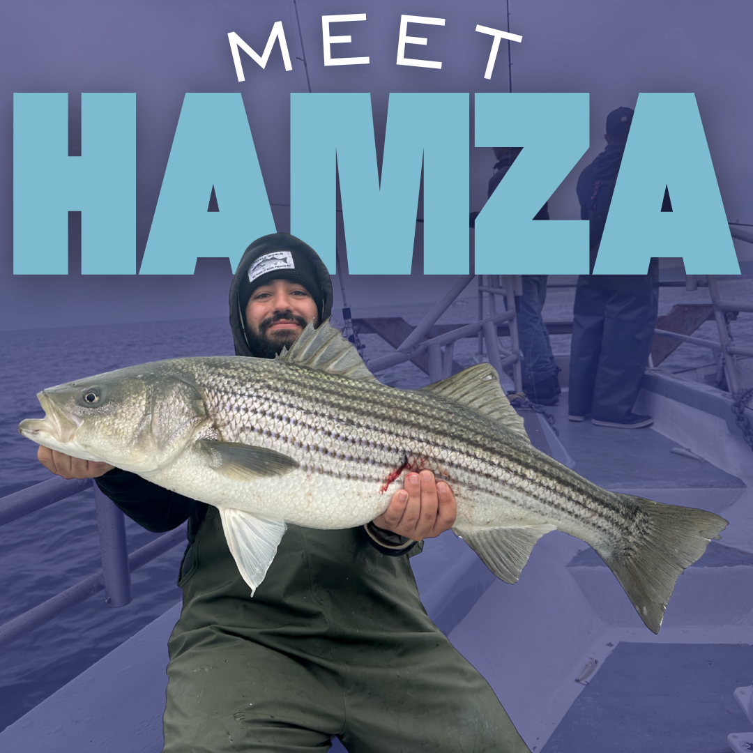 Staff Picks: Meet Hamza
