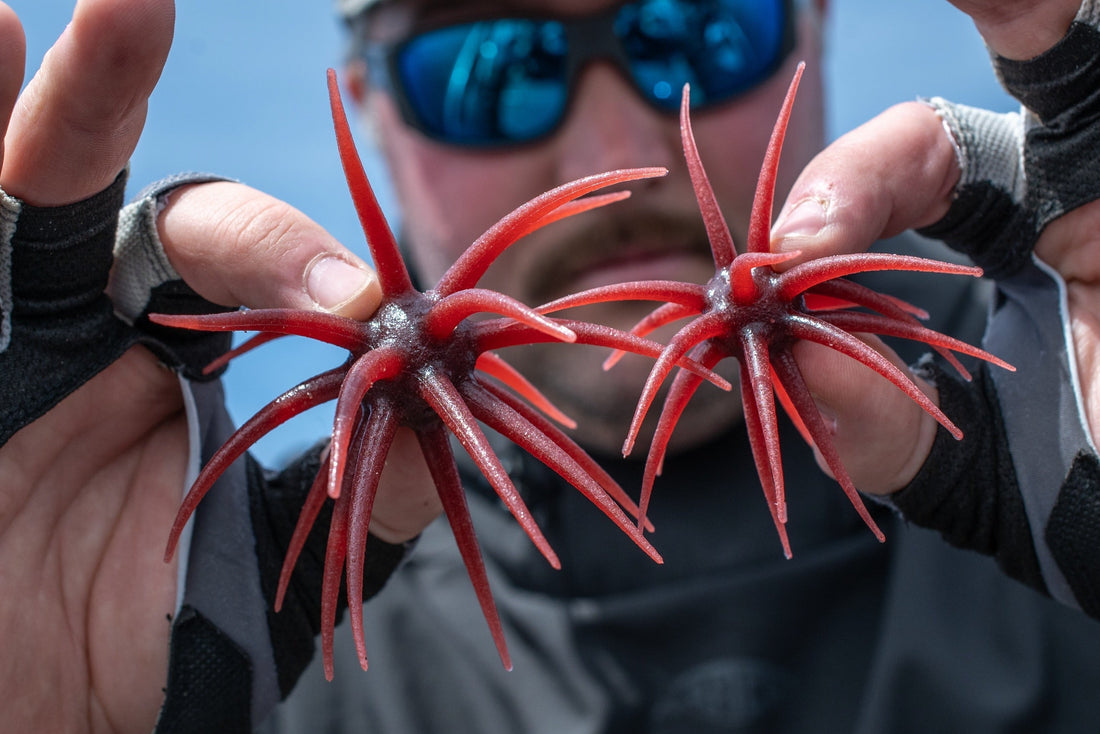 Berkley PowerBait MaxScent ’Moeba: The 3.5" Urchin Bait Bass Anglers Need to Try