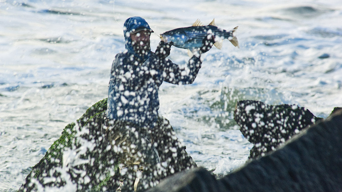 Catch, Handle, Release: How to Properly Release Striped Bass