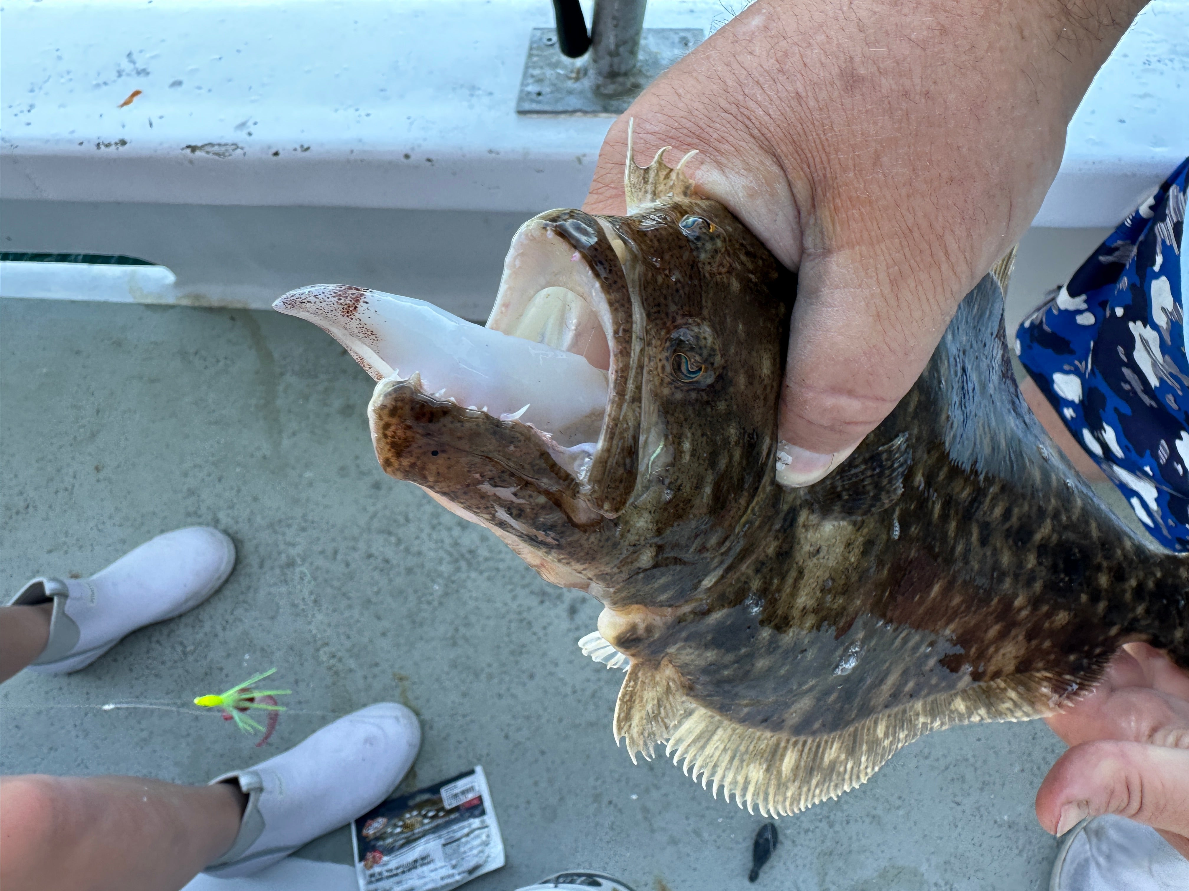 Fluke Regulations Based on your Region