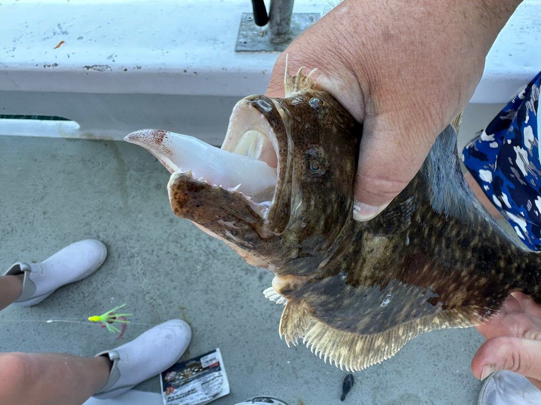 Fluke Regulations Based on your Region
