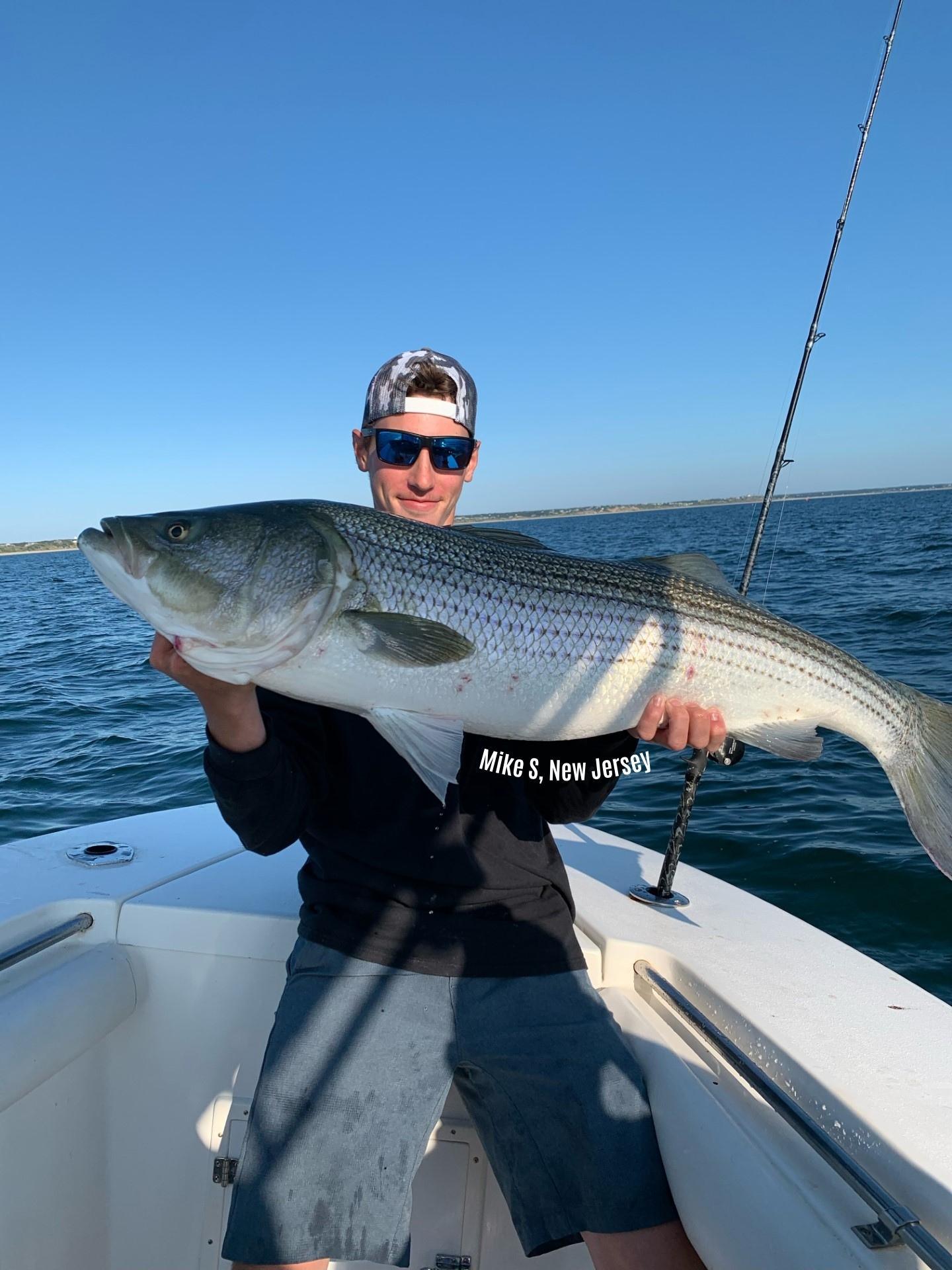 Spring Striper Mayhem - Tackle World