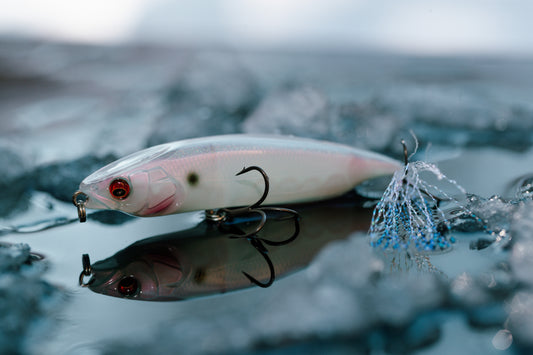 Megabass Karashi 80 Topwater Lure-Lures-Megabass-Tackle World