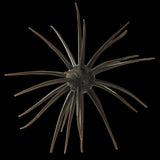 Hideup Coike 17mm Urchin Baits