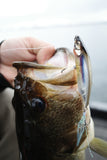 Megabass Karashi 80 Topwater Lure-Lures-Megabass-Tackle World