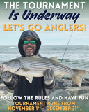 Tackle World X Shimano Talavera Striper Showdown Tournament 56" Ruler