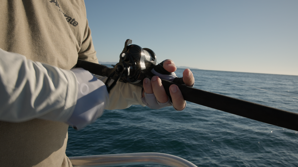 Accurate Ascender Star Drag Reels-Reel-Accurate-Tackle World