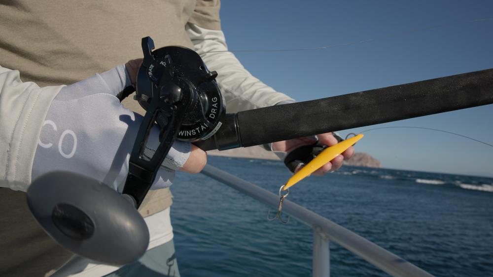 Accurate Ascender Star Drag Reels-Reel-Accurate-Tackle World