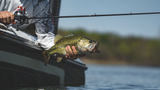 Daiwa Tatula XT Casting Rods-Rod-Daiwa-Tackle World