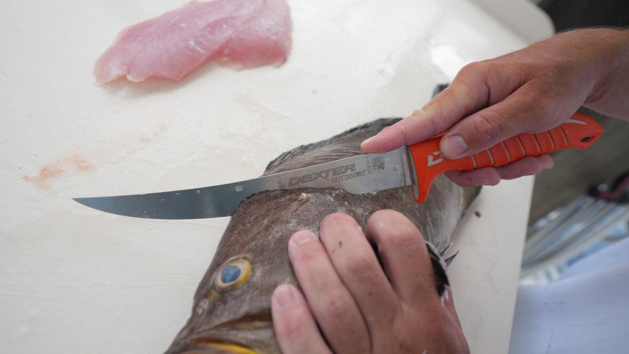 Dexter Dextreme 8" Single Edge Max Flex Fillet Knife with Sheath-Tools-Dexter Russell-Tackle World