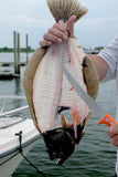 Dexter Dextreme 8" Single Edge Max Flex Fillet Knife with Sheath-Tools-Dexter Russell-Tackle World