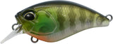 Duo Realis Crank Mid Roller 40F Crankbaits-Lures-Duo-Ghost Gill-Tackle World