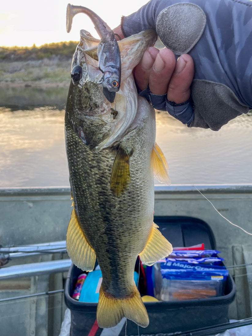 Major Craft Stabi Shads-Lures-Major Craft-Tackle World