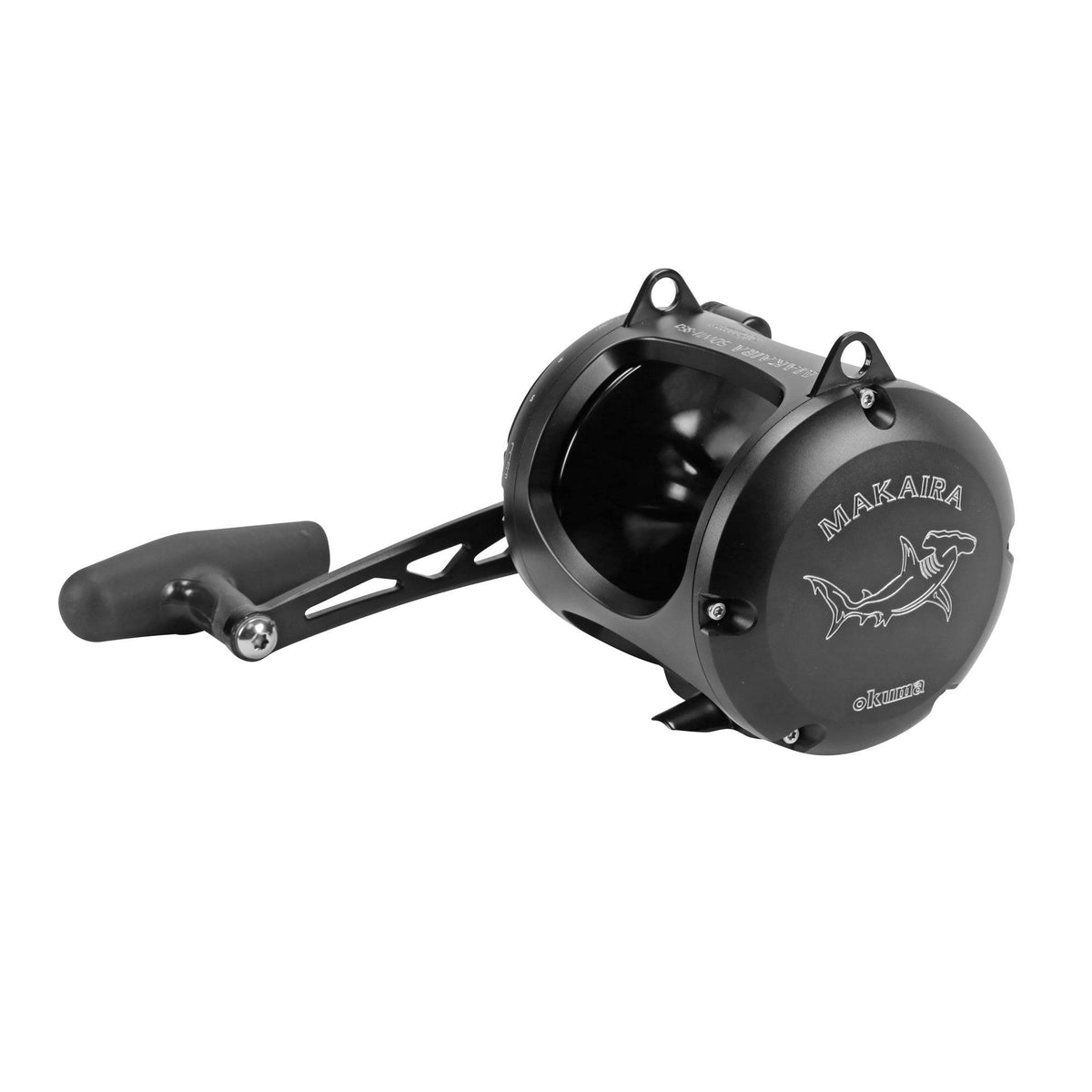 daiwa bg inshore spinning combo Daiwa BG Inshore Spinning Combo