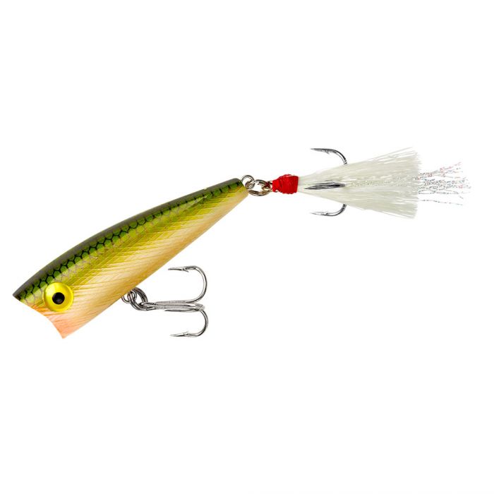 ルアー・フライ Rebel Classic Pop R Rebel Magnum Pop-R Poppers – Tackle World